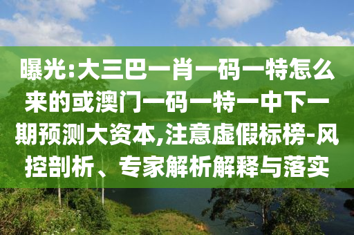 曝光:大三巴一肖一碼一特怎么來的或澳門一碼一特一中下一期預測大資本,注意虛假標榜-風控剖析、專家解析解釋與落實