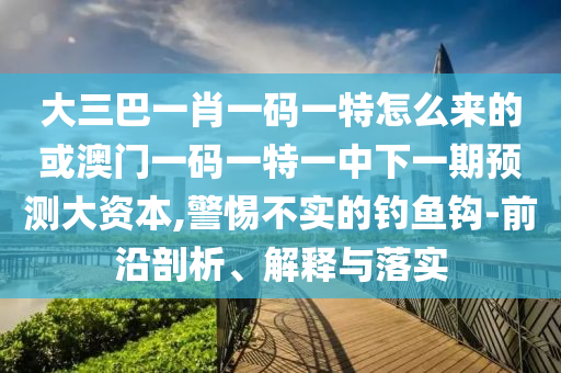 大三巴一肖一碼一特怎么來的或澳門一碼一特一中下一期預測大資本,警惕不實的釣魚鉤-前沿剖析、解釋與落實