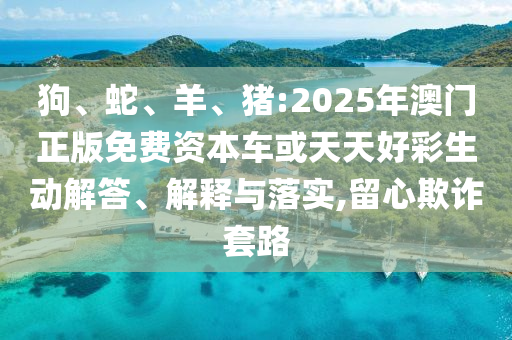 狗、蛇、羊、豬:2025年澳門正版免費資本車或天天好彩生動解答、解釋與落實,留心欺詐套路