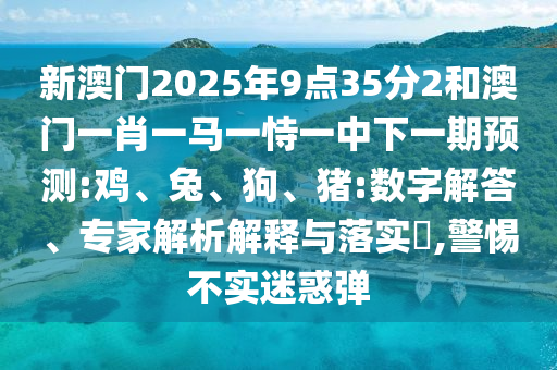 新澳門2025年9點35分2和澳門一肖一馬一恃一中下一期預(yù)測:雞、兔、狗、豬:數(shù)字解答、專家解析解釋與落實?,警惕不實迷惑彈
