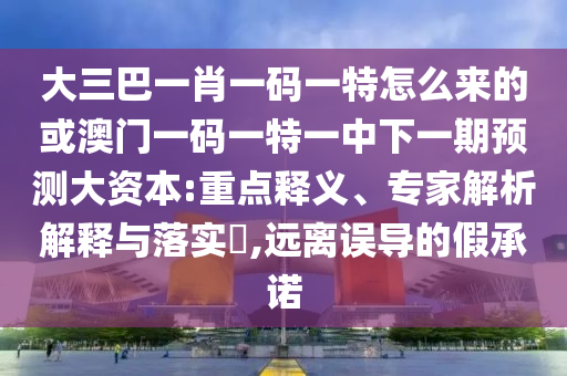 大三巴一肖一碼一特怎么來的或澳門一碼一特一中下一期預(yù)測大資本:重點(diǎn)釋義、專家解析解釋與落實(shí)?,遠(yuǎn)離誤導(dǎo)的假承諾