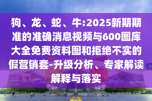 狗、龍、蛇、牛:2025新期期準(zhǔn)的準(zhǔn)確消息視頻與600圖庫大全免費(fèi)資料圖和拒絕不實(shí)的假營(yíng)銷套-升級(jí)分析、專家解讀解釋與落實(shí)